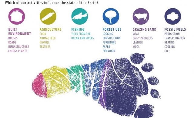 ecological-footprint (1)